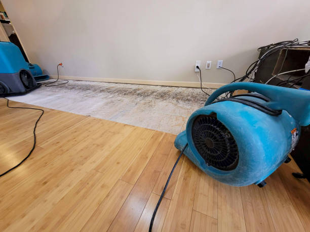 Professional Water Removal technician working in Henryville, IN